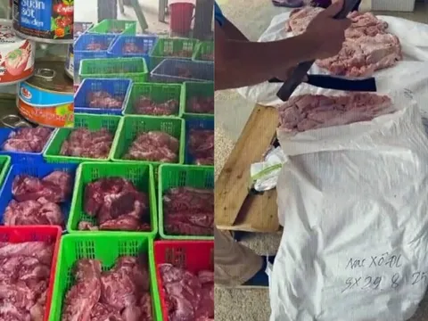 Cận cảnh kho hàng chứa 120 tấn thịt lợn bệnh bốc mùi của Công ty CP Đồ hộp Hạ Long