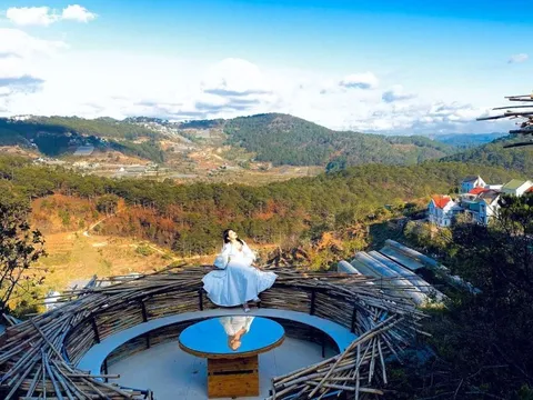 1 thành phố đang được tìm kiếm nhiều nhất mùa Tết năm nay: Sắp có lễ hội mai anh đào kéo dài tới 10 ngày