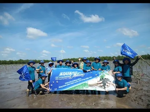 Aqua Việt Nam góp sức trồng rừng ngập mặn tại sóc trăng, hướng đến sứ mệnh chăm sóc môi trường bền vững
